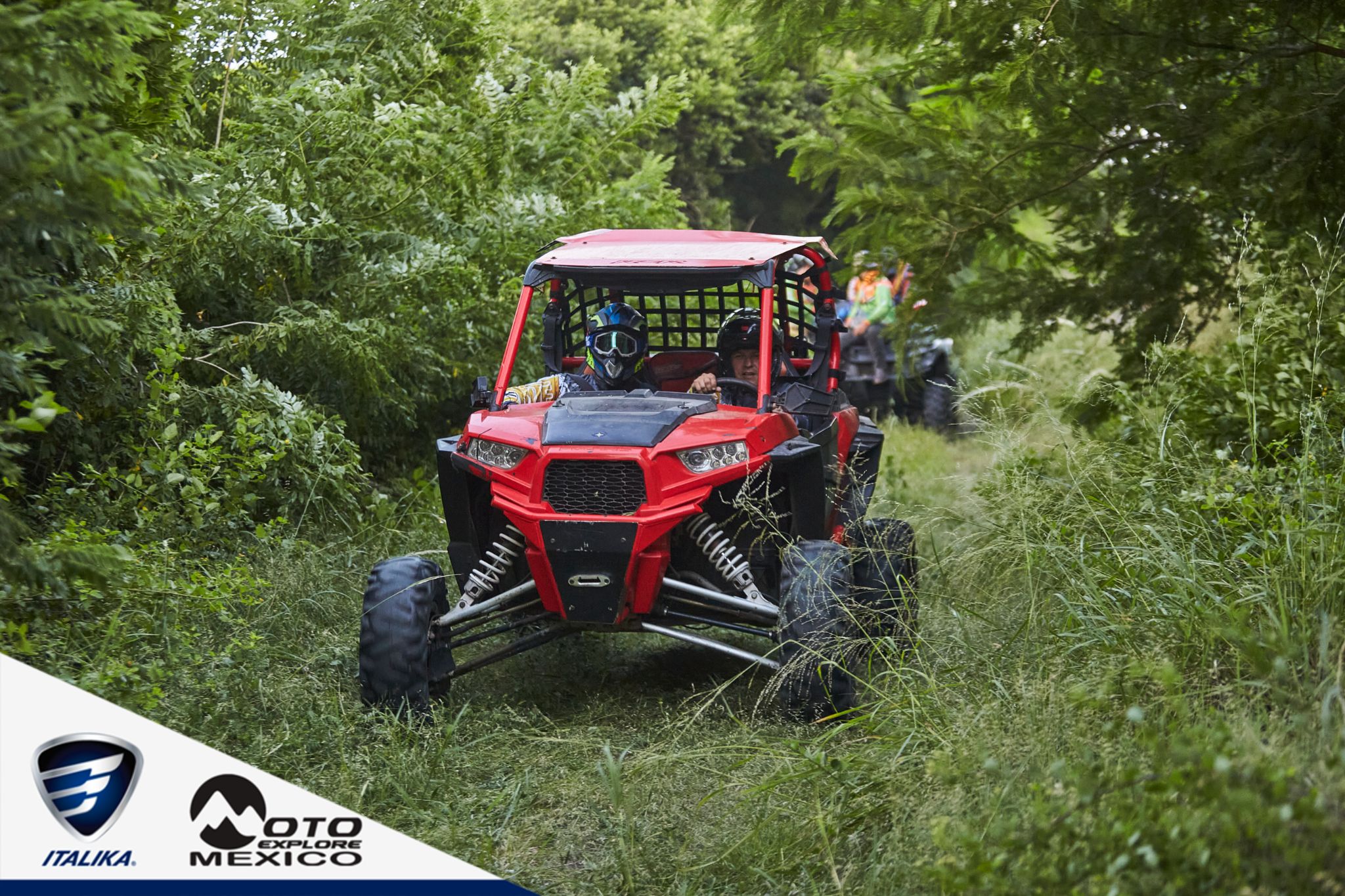 ITALIKA CHACHALACAS D1 401